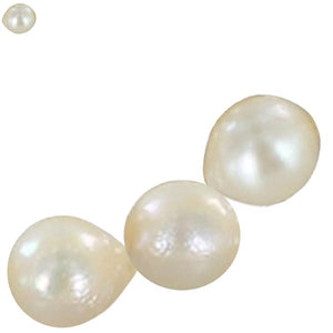 01 shell pearls