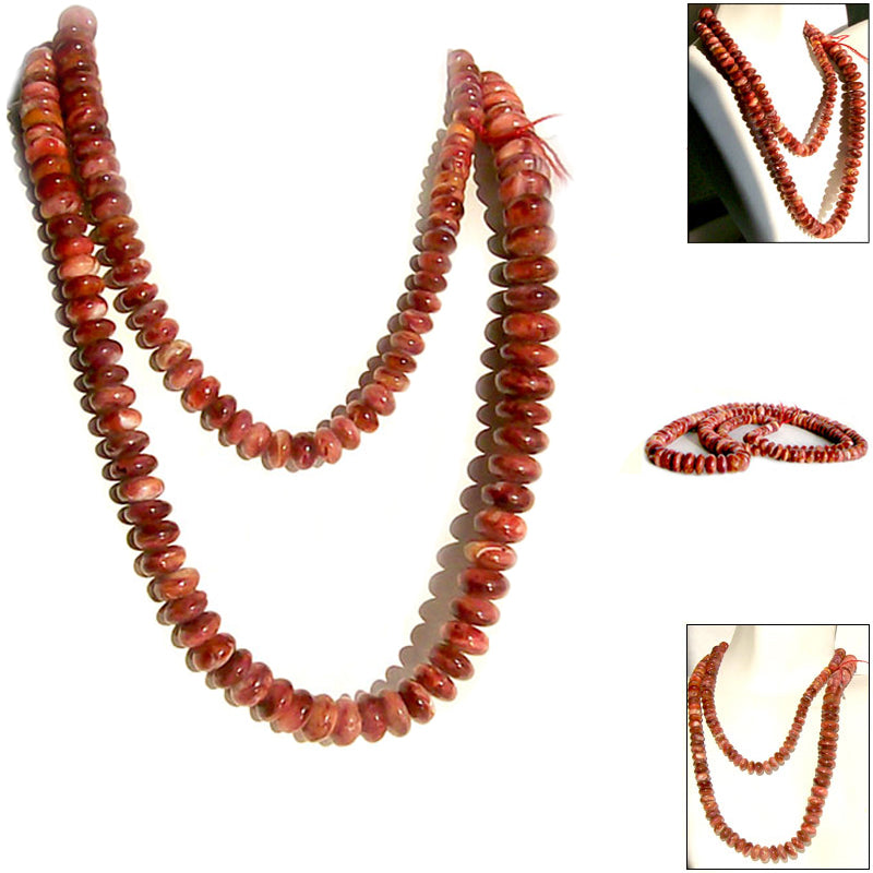 Rare Spiny Oyster Red rondelle ~4-8mm sea shell AAA spiney Mexico ocean setB~22mm strand