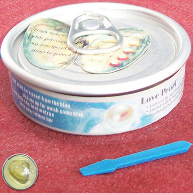 Oyster freshwater pearl canned ~6-7mm - make a wish & open up - freeform oval/rice-shaped