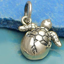 Load image into Gallery viewer, Sterling silver necklace Hatching SEA TURTLE charm .925 pendant / charm or U PICK ~18&quot; chain